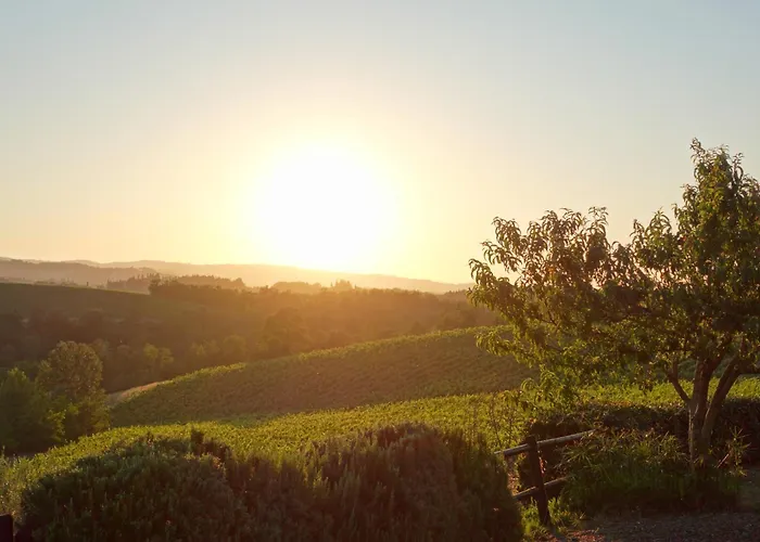 Agriturismo Montegonfoli San Gimignano
